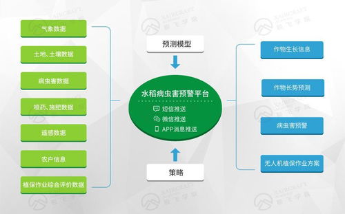 打造互聯(lián)網(wǎng)精準農(nóng)業(yè)航空服務平臺的數(shù)據(jù)處理服務