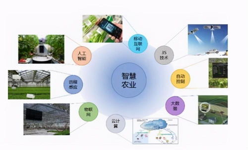 智慧農(nóng)業(yè)中的數(shù)據(jù)處理服務 賦能現(xiàn)代農(nóng)業(yè)的四大關鍵點